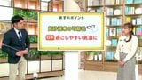 高知の天気　２日　季節外れの暖かさ　日中は黄砂の可能性も　山岸拓気象予報士が解説　|　高知のニュース・天気｜KUTV NEWS | KUTVテレビ高知