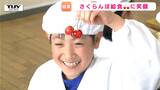 地元のさくらんぼを口いっぱいに!小中学校の給食に佐藤錦 由来と歴史も学び“地元の誇り”を味わう(山形・東根市) | 山形のニュース│TUYテレビユー山形