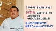 大相撲 日向丸(延岡市出身)が新十両昇進 九州場所の番付が発表 | MRTニュース | MRT宮崎放送