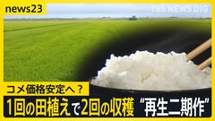 コメ価格安定への“切り札”？ 「田植えのコストかからない」1回の田植えで2回収穫“再生二期作”に熱視線　メリット・デメリットは【news23】| TBS CROSS DIG with Bloomberg