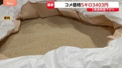 コメ平均価格が3週連続ダウン↓“5キロ3403円”に　業者間の取引価格も“史上最大の下げ幅”に　注目は備蓄米の「買戻し」時期| TBS CROSS DIG with Bloomberg