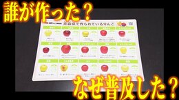 “りんご下敷き”一体誰がどんな理由で作った?　広く普及した理由とは?実は制作団体が学校に持ち込んだことはなかった　最古の昭和40年代物の下敷きも登場!|TBS NEWS DIG