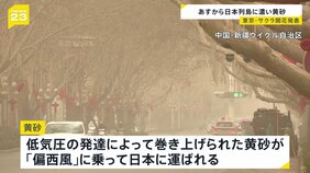 濃い黄砂が日本に接近中　今年は降水量が少なく飛散しやすい状況に…東京ではサクラの開花発表も　森田予報士解説【news23】|TBS NEWS DIG