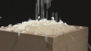 コメ価格5キロあたり3590円　5週ぶり値上がりも農水省「値下がりの傾向は続いている」| TBS CROSS DIG with Bloomberg