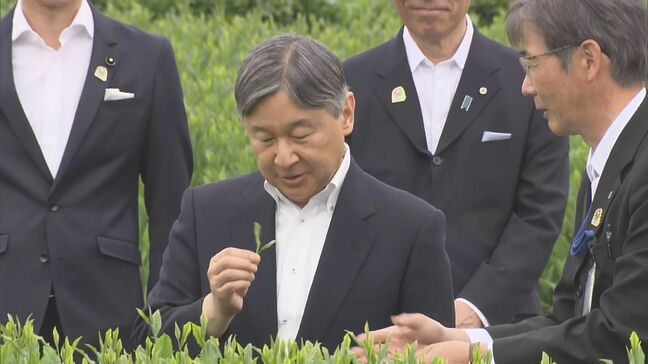 天皇陛下　埼玉県で狭山茶視察「入間市でほとんどとれるのに狭山茶なんですね」　あす「全国植樹祭」出席　皇后さまは体調不良で全日程取りやめ|TBS NEWS DIG