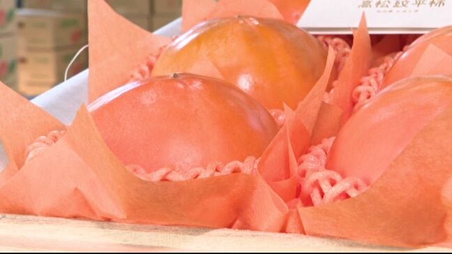 甘さたっぷり 石川・かほく市特産「高松紋平柿」初出荷 今年は大玉|TBS NEWS DIG