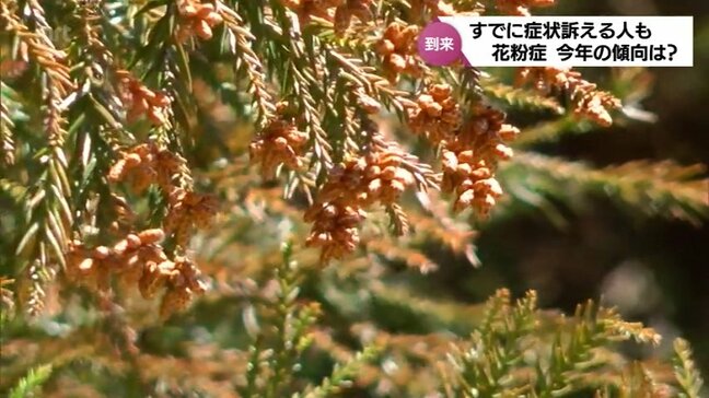 今年の花粉症は早い? 病院ではすでに患者もちらほら…発症してない人も注意|TBS NEWS DIG