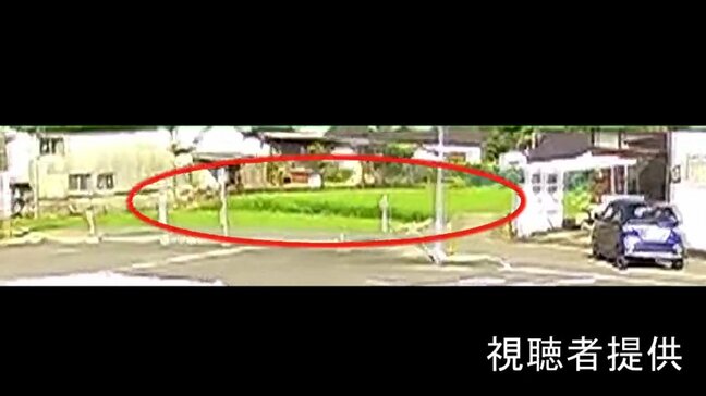 【貴重な映像】断層が地表に現れる瞬間 土地がズレた ※動画あり|TBS NEWS DIG