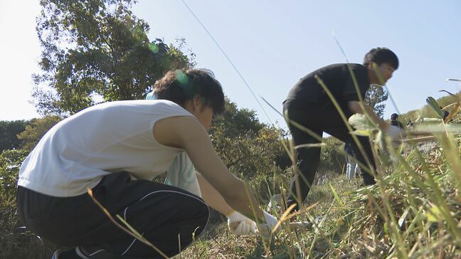 秋吉台の早春の風物詩“山焼き”に向けて連合山口が草刈り「広大な台地を見て楽しみながら」幅６メートル３キロにわたり実施|TBS NEWS DIG