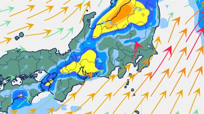 【大雨情報】西日本~北日本 26日にかけ雷を伴った非常に激しい雨など 東海地方は土砂災害に厳重に警戒 【雨と風のシミュレーション】|TBS NEWS DIG