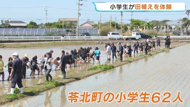 「感謝して食べたい」小学生が昔ながらの方法で田植えを体験 熊本・苓北町|TBS NEWS DIG