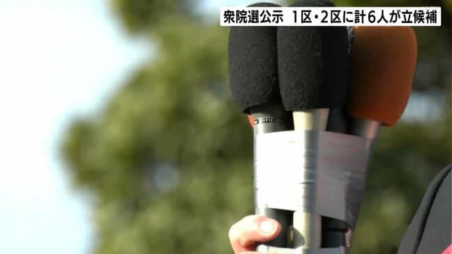 衆議院選挙公示　高知１区・２区に計６人が立候補　12日間の舌戦スタート|TBS NEWS DIG