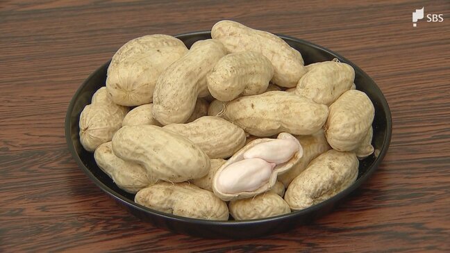「コクがあっておいしい落花生 非常にいい状態」富士宮市で特産の落花生の目ぞろえ会 出荷に向けて品質など確認＝静岡|TBS NEWS DIG