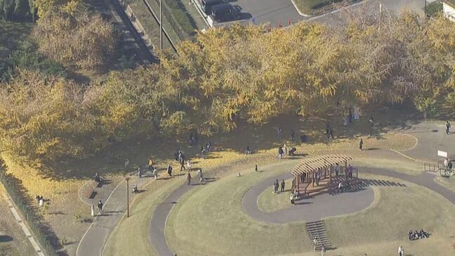 “黄色のじゅうたん”も… 愛知・岐阜・三重の紅葉の進み具合は?伊勢神宮や東山動植物園などの名所を上空からチェック【11月26日】|TBS NEWS DIG