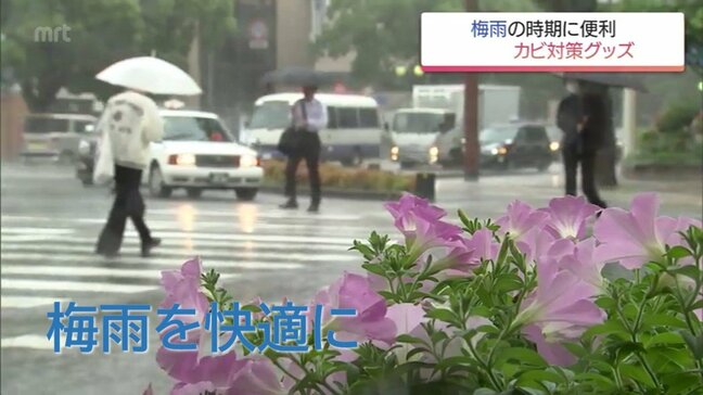 梅雨を快適に過ごすために　「カビ対策」の便利グッズ|TBS NEWS DIG