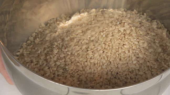 古米と古古米の“逆転現象”も「精米機能を持たない業者は大変」 備蓄米販売で露呈した流通の混乱|TBS NEWS DIG