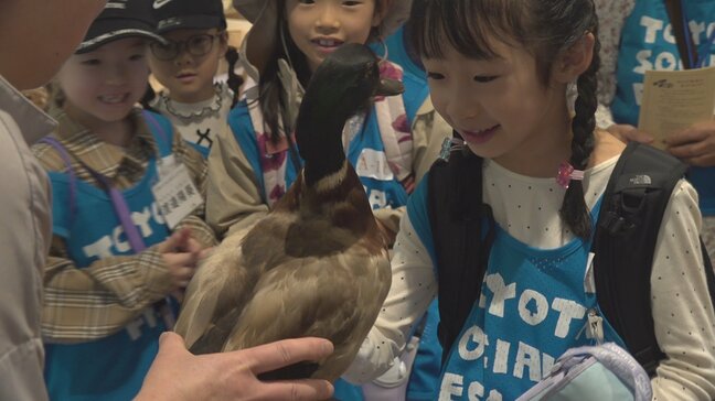 富士北麓地域の豊かな自然や生態系を学ぶ 野鳥をテーマに環境保護に対する理解深める|TBS NEWS DIG