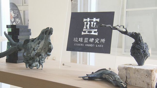 藍染めされた「水牛の骨」や「スニーカー」 自ら育てたリュウキュウアイで唯一無二の商品を生み出す「琉球藍研究所」とは?|TBS NEWS DIG