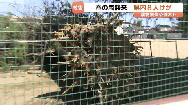 大木がポッキリ 酒店の外壁が吹き飛ぶ…吹き荒れた“春の嵐”で8人けが　富山・八尾で最大瞬間風速35.1m　各地に爪痕|TBS NEWS DIG