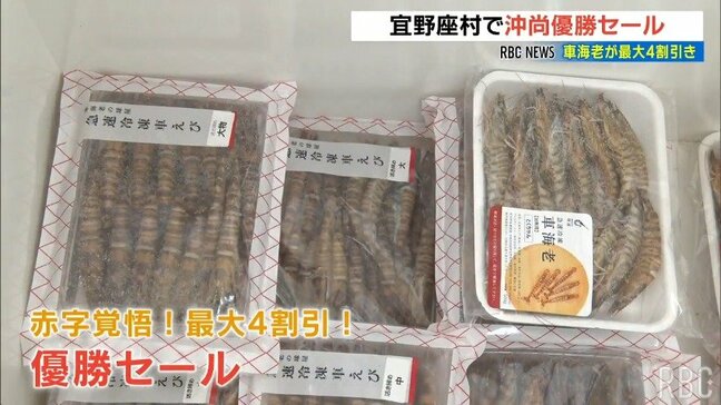 車海老が最大4割引き！宜野座村で沖縄尚学優勝セール|TBS NEWS DIG