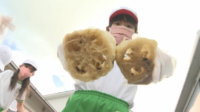 「すごいくさくて鼻が曲がって死にそう」においにも負けず　児童がヘチマたわし作り　山口県萩市　|　山口のニュース・天気・防災｜tys NEWS｜ｔｙｓテレビ山口