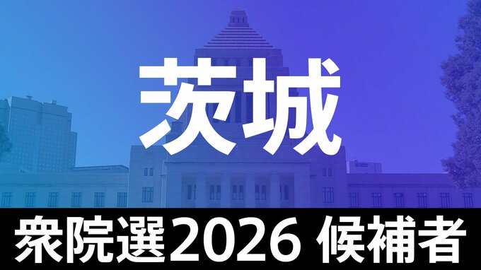 【衆議院選挙2026】あなたの街の候補者は？顔写真一覧を見る【茨城･小選挙区】|TBS NEWS DIG