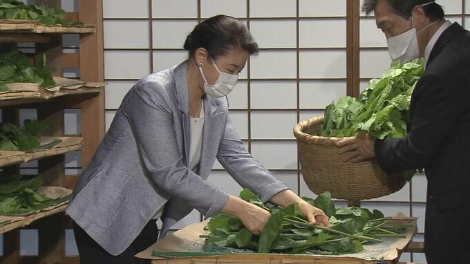 「蚕は順調ですか」皇后さまの養蚕　蚕に桑を与える「給桑」に臨まれる|TBS NEWS DIG