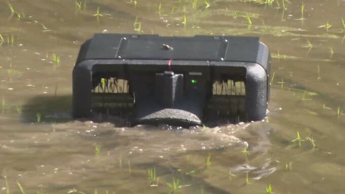 雑草退治の秘密兵器？アイガモロボット登場　島根県浜田市の棚田　|　BSSニュース | BSS山陰放送