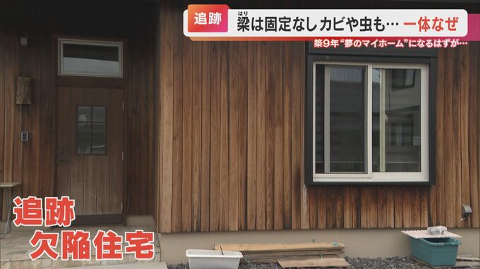 夢のマイホームが欠陥だらけの違法建築に　カビだらけの壁に “謎の虫”が大量発生する過去最悪の手抜き工事|TBS NEWS DIG