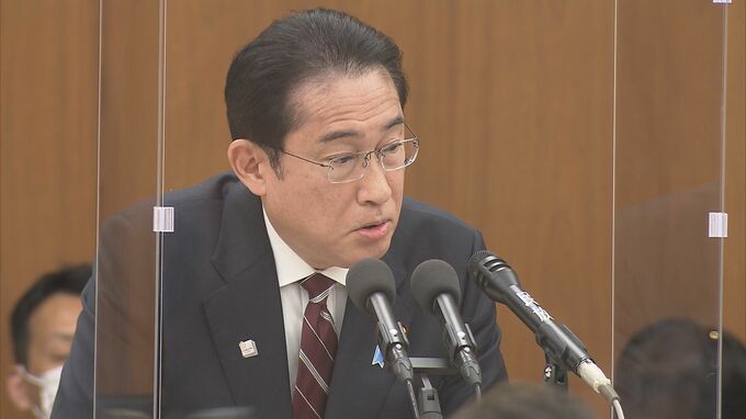 【速報】岸田総理、出産費用の保険適用した場合、政府が3割の自己負担分を補助すると示唆　まずは“見える化”も強調|TBS NEWS DIG