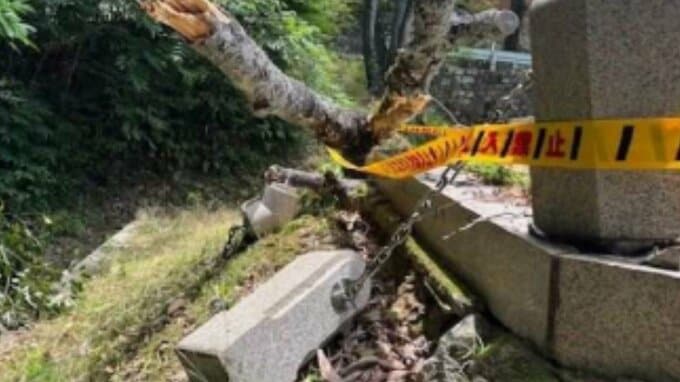 奥市公園で倒木 根元の腐食が原因か 慰霊碑の柵が損壊 けが人なし【岡山】|TBS NEWS DIG