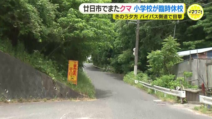 「突然現れるのでどうしたらいいか…」またクマの目撃情報… クマよけの鈴を持ち歩く住民も　付近の小学校は臨時休校に　広島･廿日市市|TBS NEWS DIG