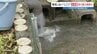 洗浄しても濁り残る井戸水　地震による「液状化」でパイプ破損　砂や泥が混入か　熊本・八代　　　|　熊本のニュース｜RKK NEWS｜RKK熊本放送