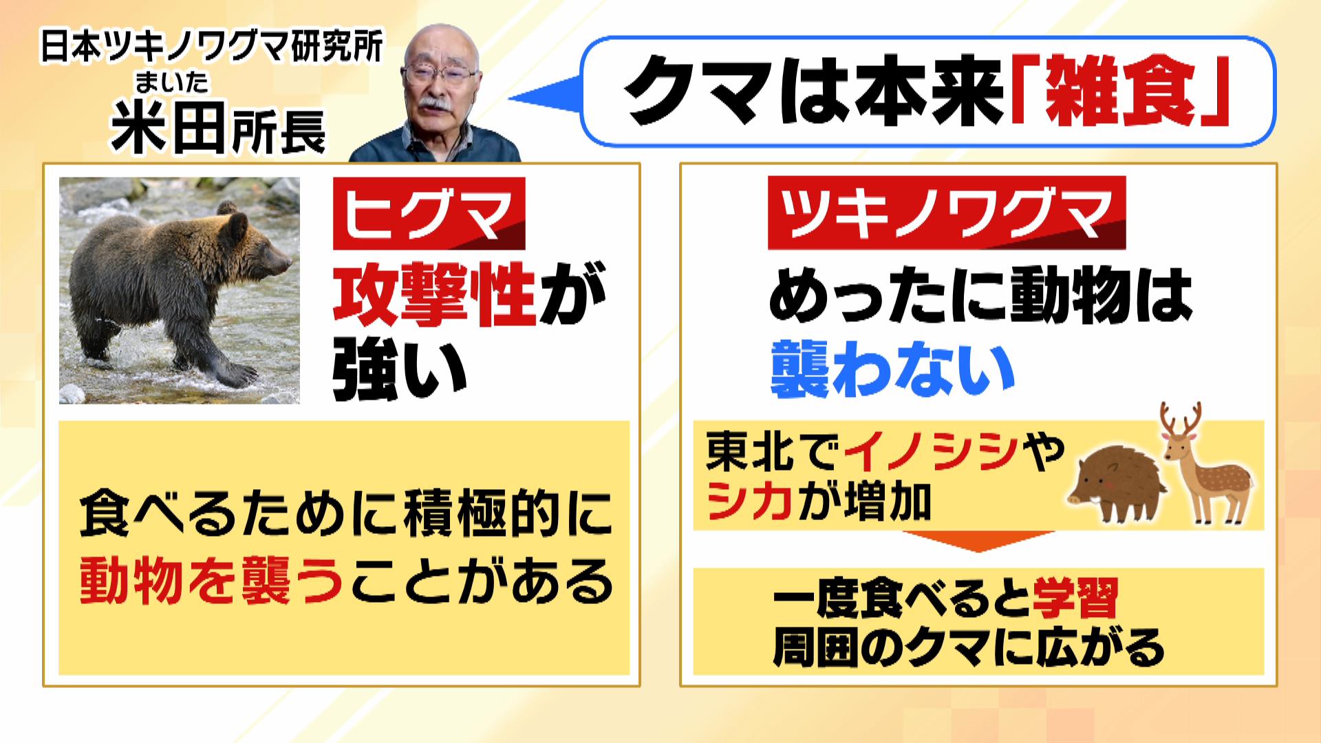 熊 は 人 を 食べる のか