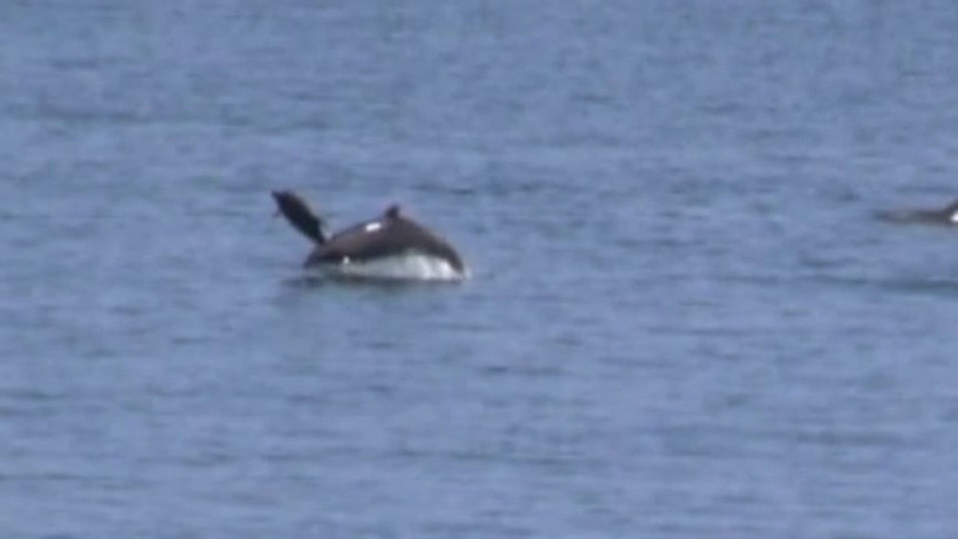 img_2d86ebb69cf5cccce5a55402ba