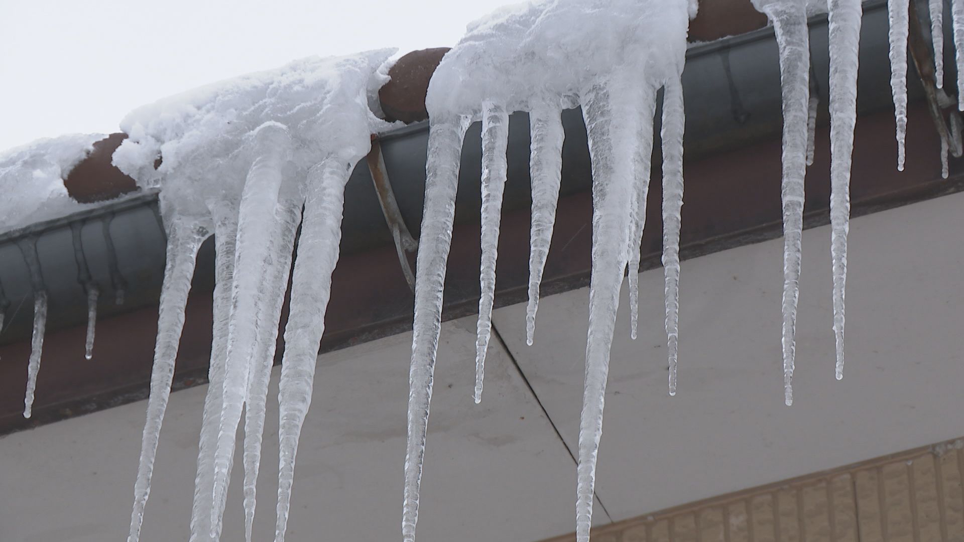 長沢風雪 Leovince 15400Cu Lv Corsa Carbon Fiber Slip-On Exhaust Ninja 400