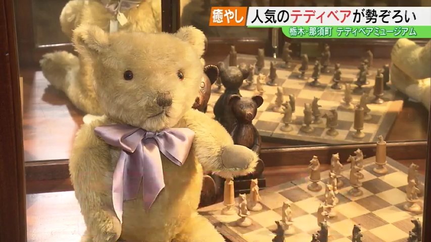 その数、およそ500体！かわいいテディベアが勢ぞろい 那須テディベア