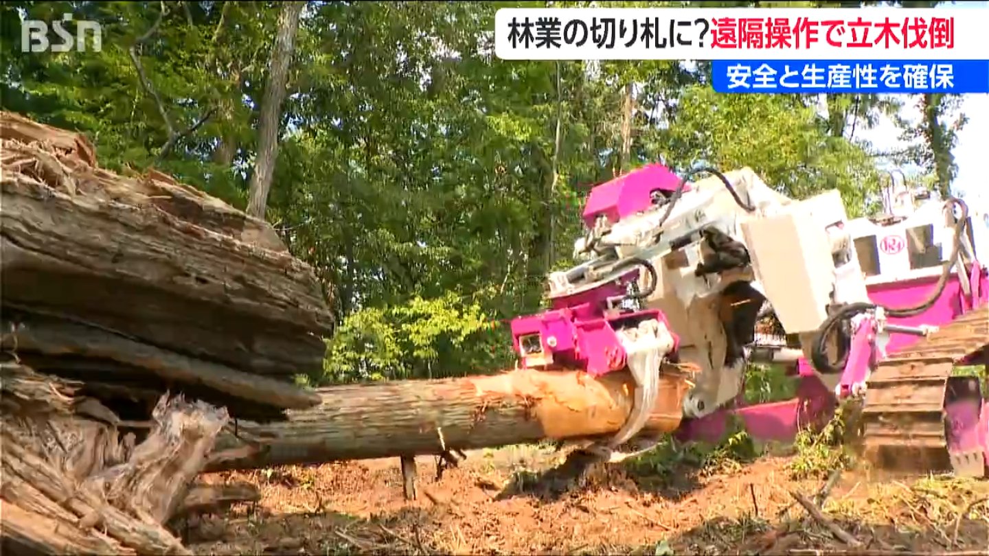 人力によるチェーンソーの何と75倍の速さ！」無人の作業車が遠隔操作で