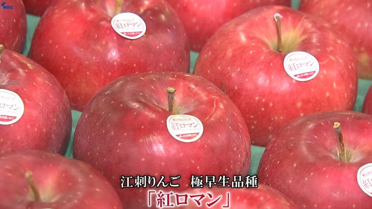 江刺りんご「紅ロマン」初競り 最高ランク「秀」は1箱あたり2万円