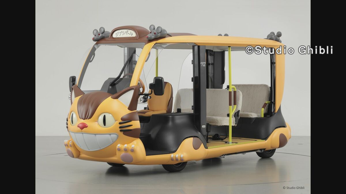 img_2dfb85bf95b3d7d014df82cadb