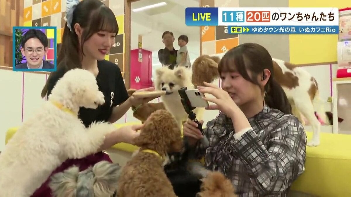 犬飼えないけど触れ合いたい…“11種20匹” 赤ちゃんわんこだらけの