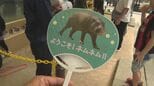 水の中でスヤスヤ　“世界三大珍獣”ミニカバ「ネムネム」お披露目！　沖縄こどもの国|TBS NEWS DIG