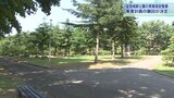 盛岡城跡公園「ホホホの森」プロジェクトは撤回に 芝生広場整備計画 盛岡市と事業者に選定された「ミナ」(東京都)が判断|TBS NEWS DIG