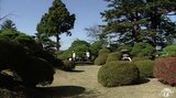 「八戸南部氏庭園」で一般公開はじまる 約5500平方メートルの枯山水の庭園に38種類・230本以上の木々 藩政時代の庭園芸術を今に伝える|TBS NEWS DIG