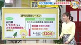【1月30日(火)天気】穏やかに晴れて昼間はより暖かく 水曜からはすっきりしない天気 日差しを有効活用を そろそろ気になる花粉が・・・|TBS NEWS DIG