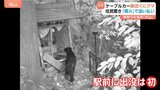 神奈川の名所・大山 まさか…ケーブルカー駅近くにクマ「出没は初めて」 伊勢原市は煙火で追い払い対策|TBS NEWS DIG