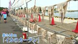 「イカのカーテンまつり」4年ぶりにぎわう 会場では伝統継承のため白八幡宮大祭の山車展示と囃子披露も実施|TBS NEWS DIG