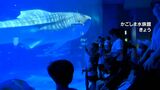 夏休み最終日…かごしま水族館は親子連れでにぎわう「友達に会うのが楽しみ」 鹿児島市 | 鹿児島のニュース|MBC NEWS|南日本放送
