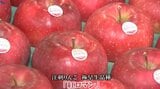 江刺りんご「紅ロマン」初競り　最高ランク「秀」は１箱あたり２万円高く落札|TBS NEWS DIG