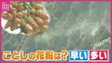 ことしの花粉は「多い」前年比430%も PM2.5や黄砂は症状を重くする 今のうちにできる対策は?|TBS NEWS DIG